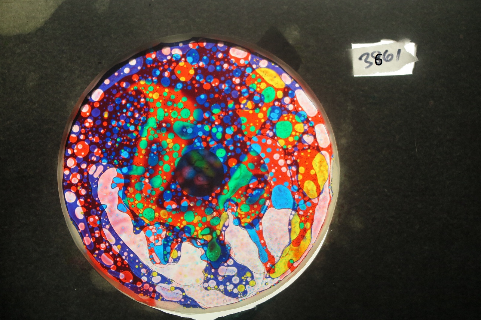 BV3661 bubble vision oil wheel